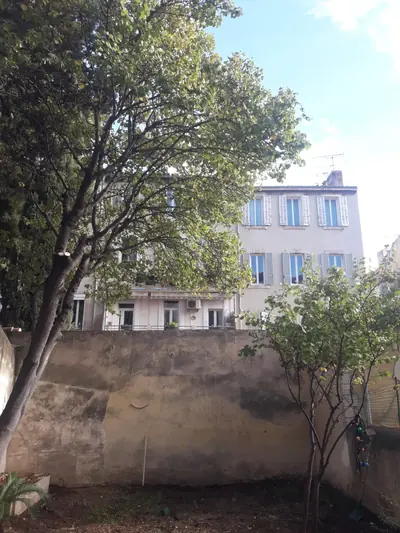 Arbre et cour dégagée au pied d’un immeuble