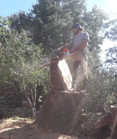 Élagueur au travail sur un chantier